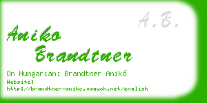aniko brandtner business card